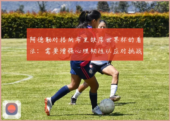 阿德勒对格纳布里缺席世界杯的看法：需要增强心理韧性以应对挑战